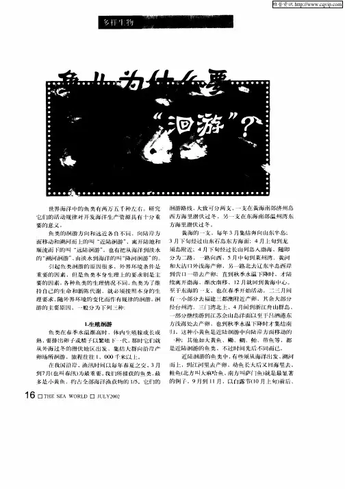 鱼儿为什么要“洄游”？