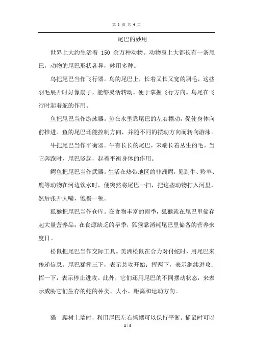 部编人教版一年级语文上册 6.比尾巴--尾巴的妙用