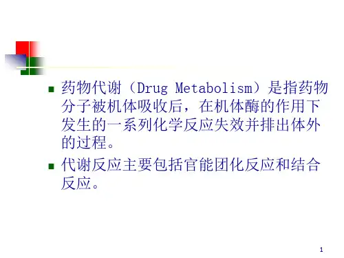 药物代谢的基本原理
