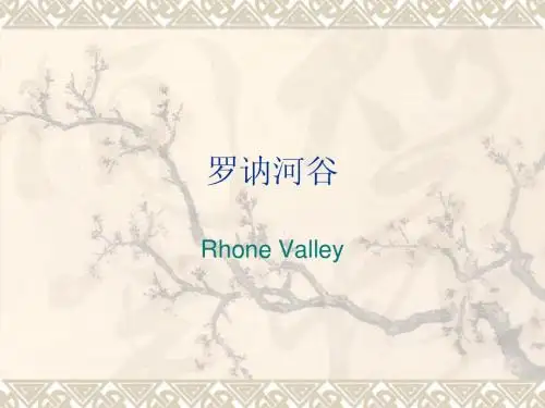 罗纳河谷