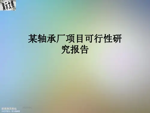 某轴承厂项目可行性研究报告