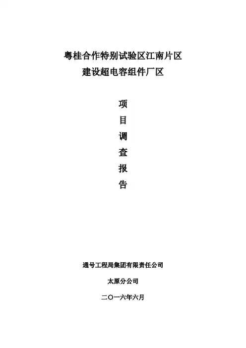 广西项目调查报告