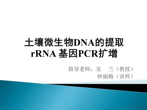 3.土壤微生物DNA的提取及PCR-马燕天 (1)