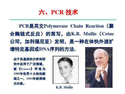 2 基本技术-2：PCR和定向诱变