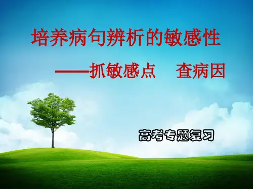 病句专项课件