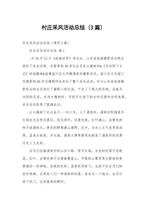村庄采风活动总结(3篇)