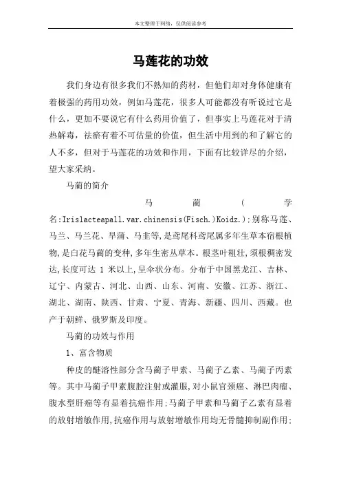 马莲花的功效