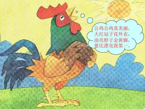 美丽的公鸡PPT课件