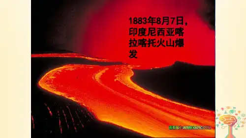 高中生物第四章种群和群落4.4群落的演替课件新人教版必修3