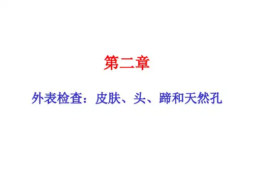猪病理解剖精品PPT课件