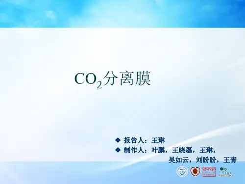 CO2分离膜