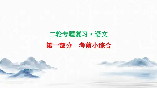 2020新高考语文语用+默写+文言文阅读考前小综合试题(32张)