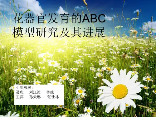 花器官的ABC模型