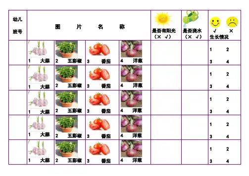 幼儿园植物观察记录表