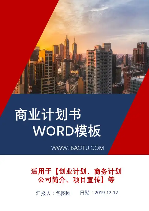 商业计划书word模板 (30)