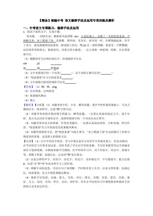 【精品】部编中考 语文修辞手法及运用专项训练及解析