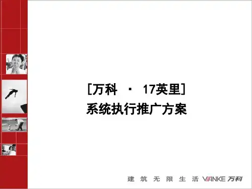 某公司系统执行推广方案