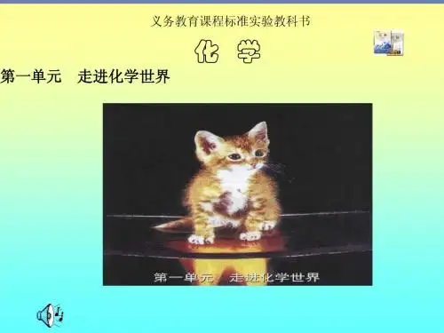 九年级化学上册1.3走进化学实验室精品课件_人教新课标版