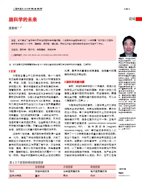 脑科学的未来