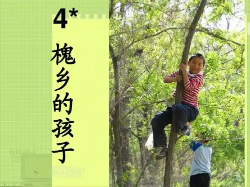 槐乡的孩子