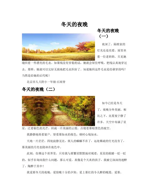 冬天的夜晚(共10篇)
