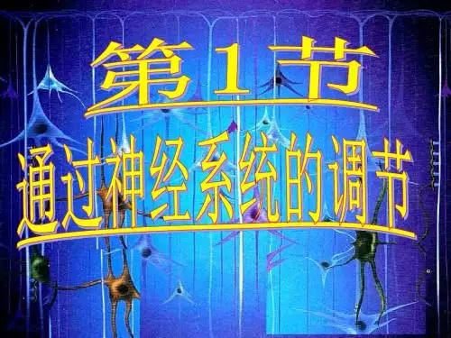 人教版高中生物必修三第二章第1节《通过神经系统的调节》 课件 (共47张PPT)