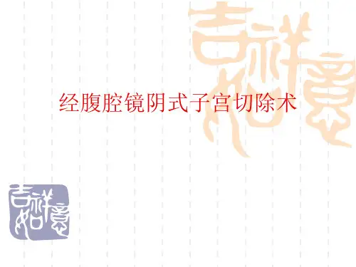 经腹腔镜阴式子宫切除术ppt课件