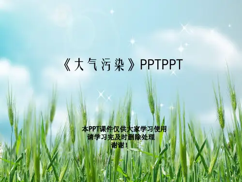 《大气污染》PPTPPT