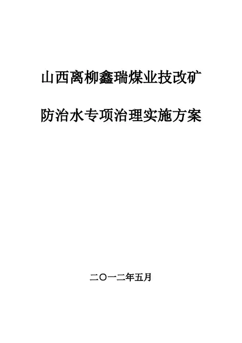 防治水专项整治实施方案