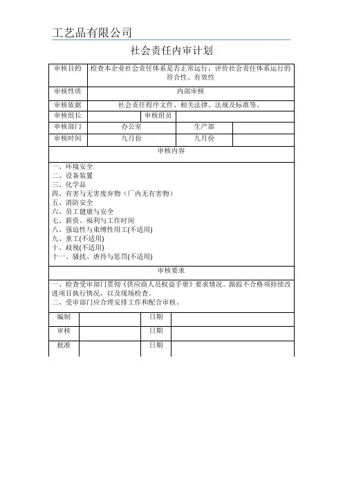 社会责任内审计划
