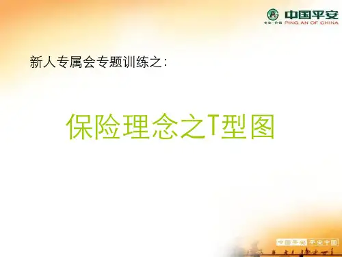 T型图PPT