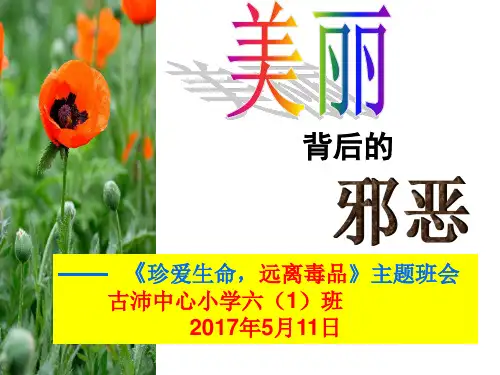 2017年珍爱生命远离毒品主题班会课件