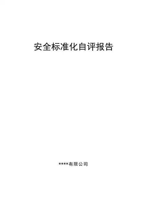 安全标准化自评报告 2