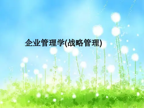 企业管理学(战略管理)
