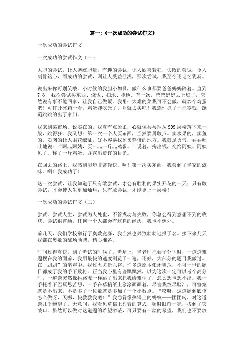 一次成功的尝试300字