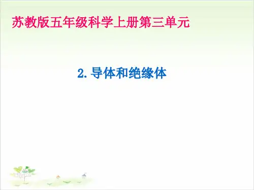 五年级上册科学-《导体和绝缘体》-苏教版