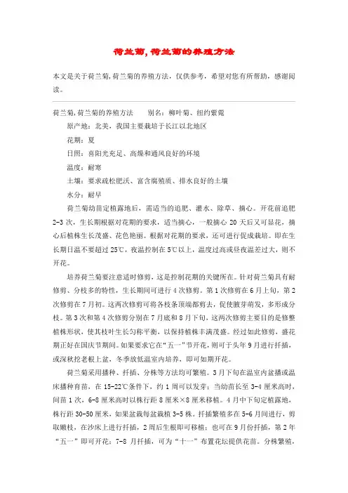荷兰菊,荷兰菊的养殖方法