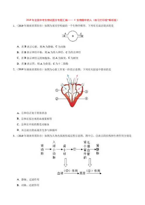 2019年全国中考生物试题分专题汇编—— 4 生物圈中的人(练习打印版+解析版)