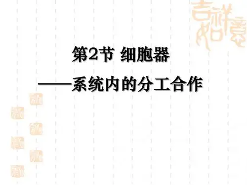 《细胞器-系统内的分工合作