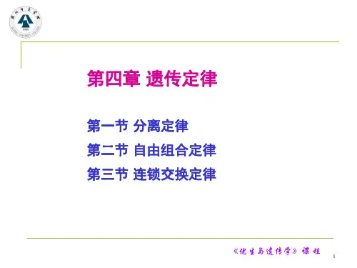 遗传定律(课堂PPT)