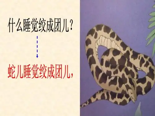 睡觉觉1
