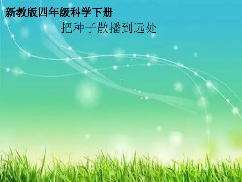 四年级下册科学课件把种子散播到远处教科版(共23张PPT)