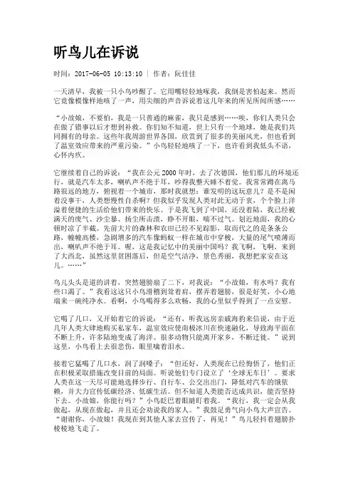 听鸟儿在诉说