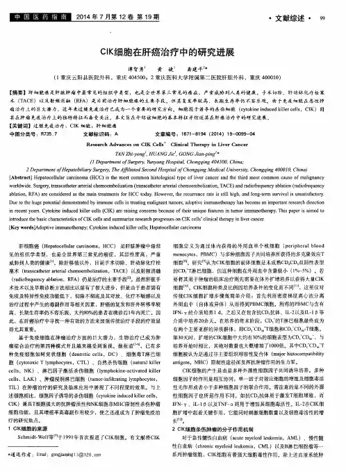 CIK细胞在肝癌治疗中的研究进展