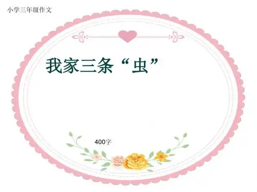小学三年级作文《我家三条“虫”》400字(共8页PPT)