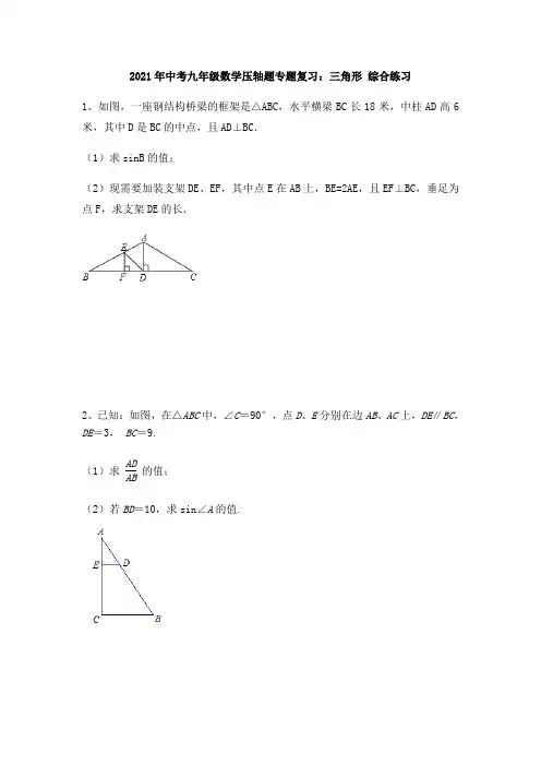 2021年中考九年级数学压轴题专题复习：三角形 综合练习(无答案)
