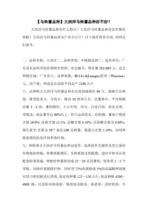 【马铃薯品种】大西洋马铃薯品种好不好？