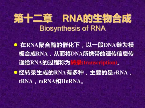 第12章-RNA的生物合成PPT课件