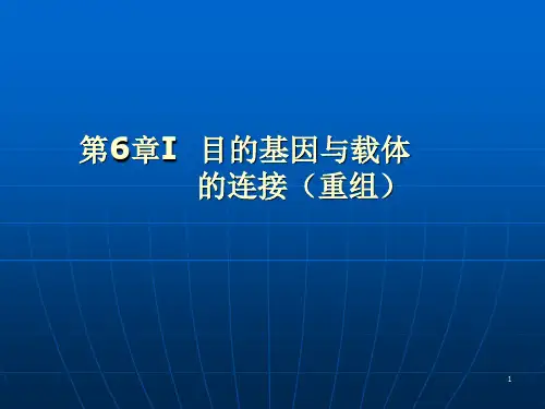 第六章I 目的基因与载体的连接