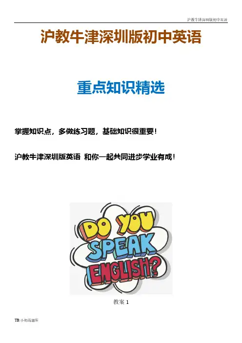 沪教牛津深圳版初中英语九年级上册unit5 教案1